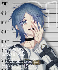 Sakurai Haruka (MILGRAM)